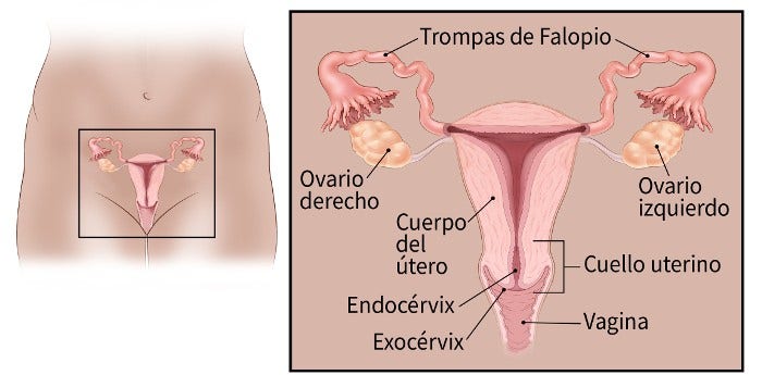 Qué es el cáncer de vagina?
