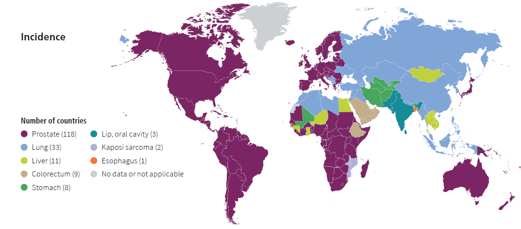 world map with color coded countries by incidence of cancer types by country for men North and South America and Australia  are Purple