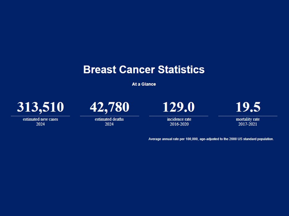 2024 Breast Cancer Facts and Figures Statistics Centers Figures