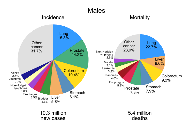 Distribution of Cases and Deaths for the 10 Most Common Cancers for Men pie charts for news story "Cancer in Men: Prostate Cancer is #1 for 118 Countries Worldwide"