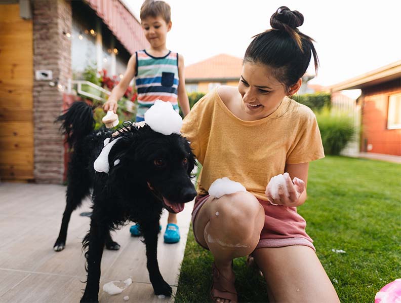 caucasian mother and son washing long-haired black dog