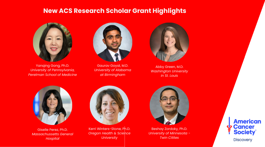 2024 ACS Research Scholar Grant Highlights