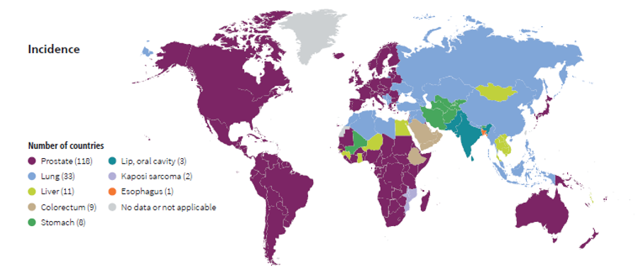 The Most Commonly Diagnosed Cancers in Males by Country, 2022 map for news story "Cancer in Men: Prostate Cancer is #1 for 118 Countries Worldwide"