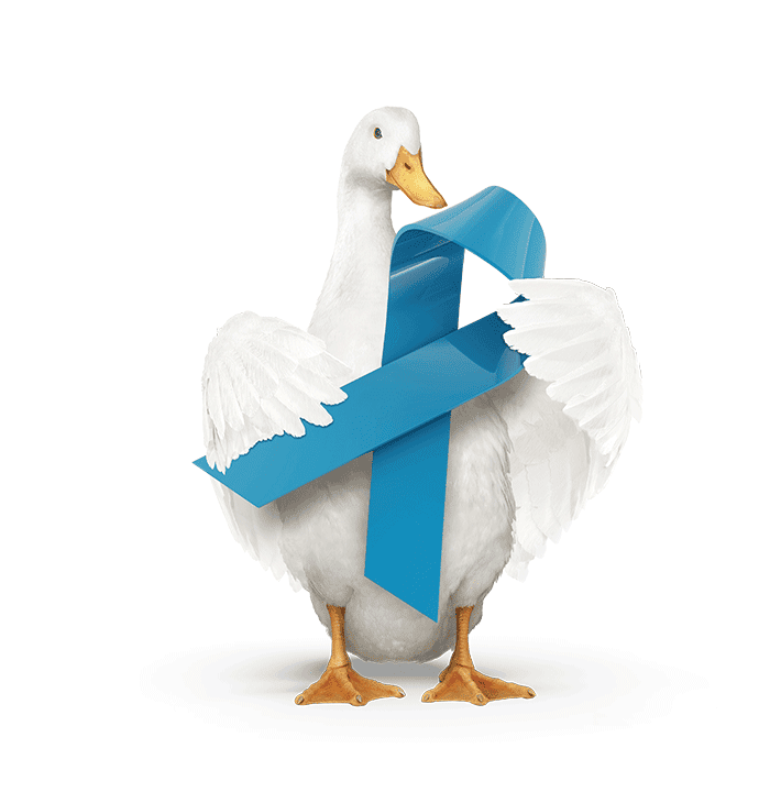 A white duck holding a large blue cancer awareness ribbon