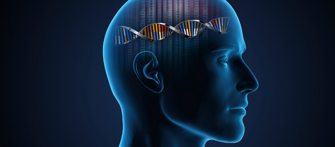 animation of human head with double helix on brain