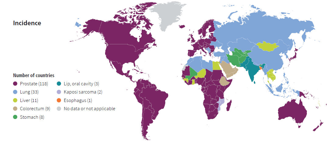 world map with color coded countries by incidence of cancer types by country for men North and South America and Australia  are Purple